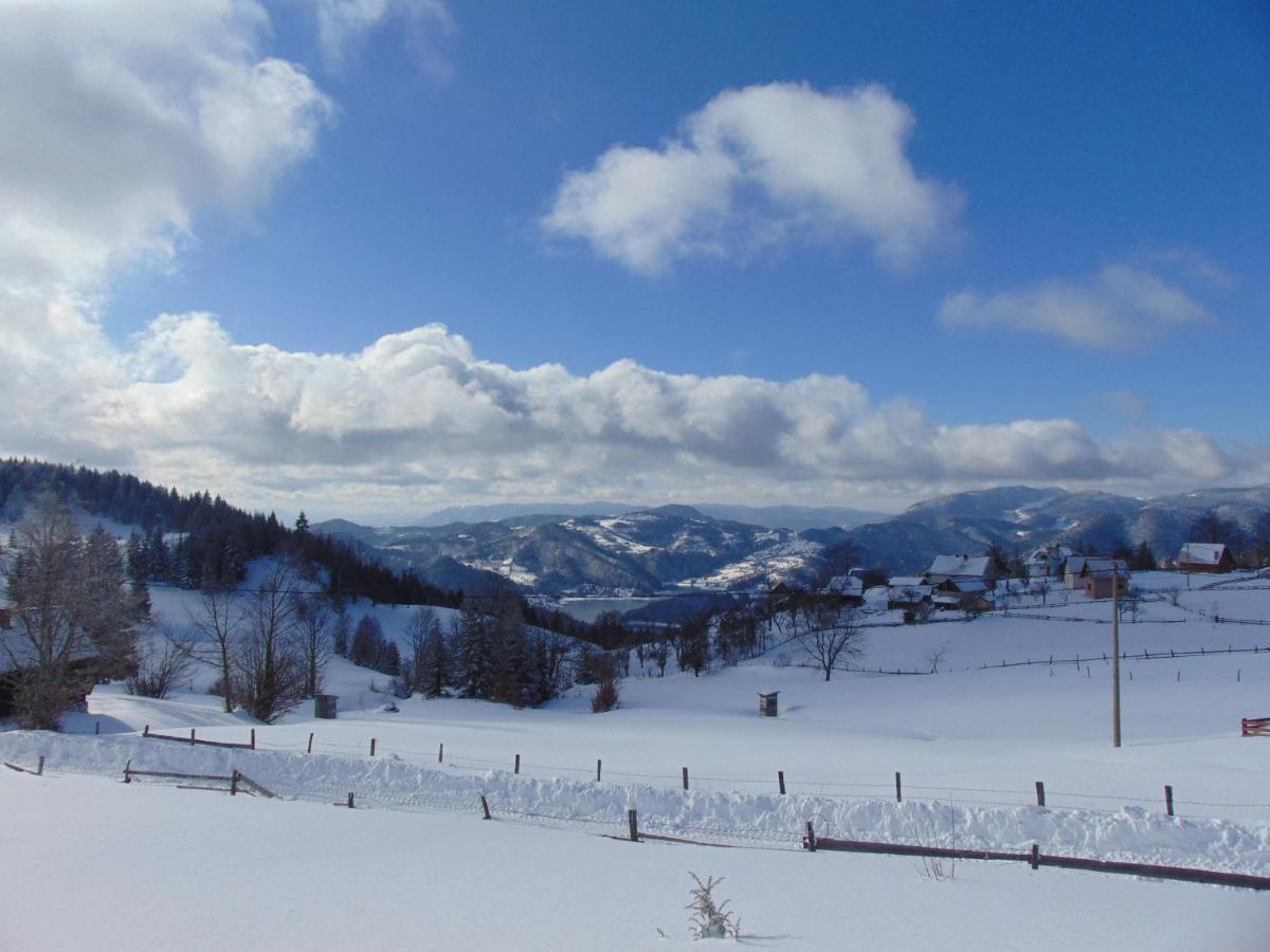 Vikendica Sekulic Vila Bajina Basta Exterior foto