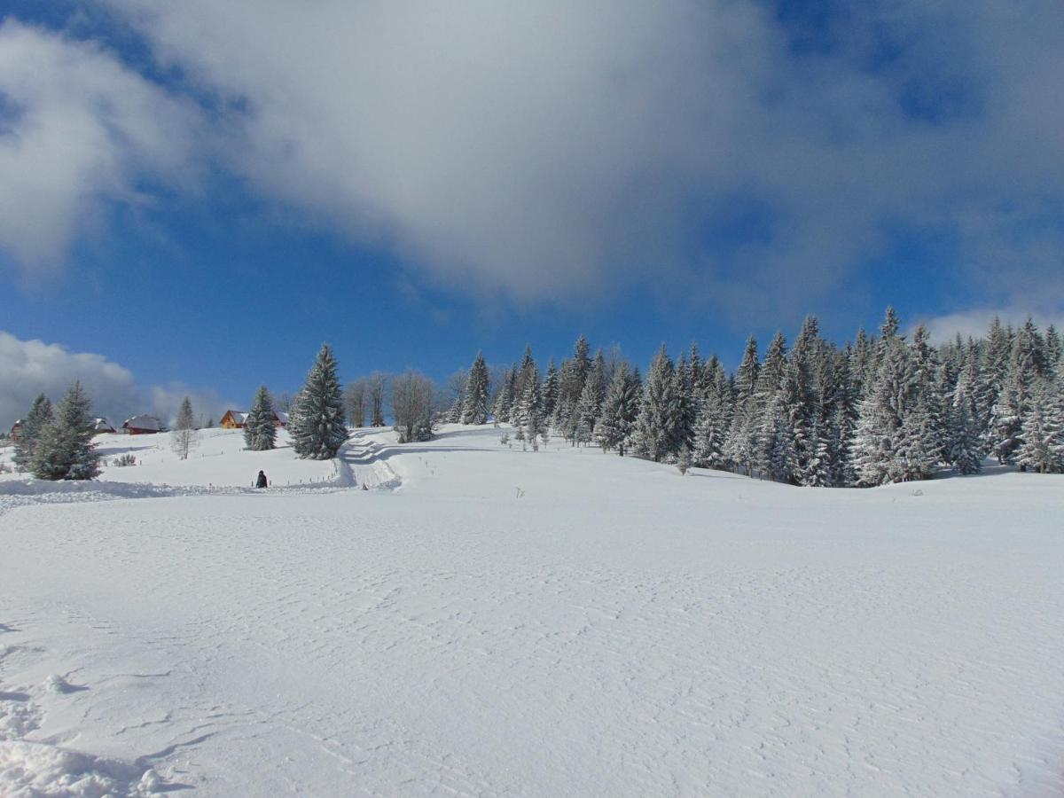 Vikendica Sekulic Vila Bajina Basta Exterior foto